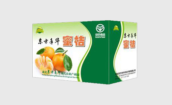 無人機定制|翼飛智能與低空經濟的崛起
